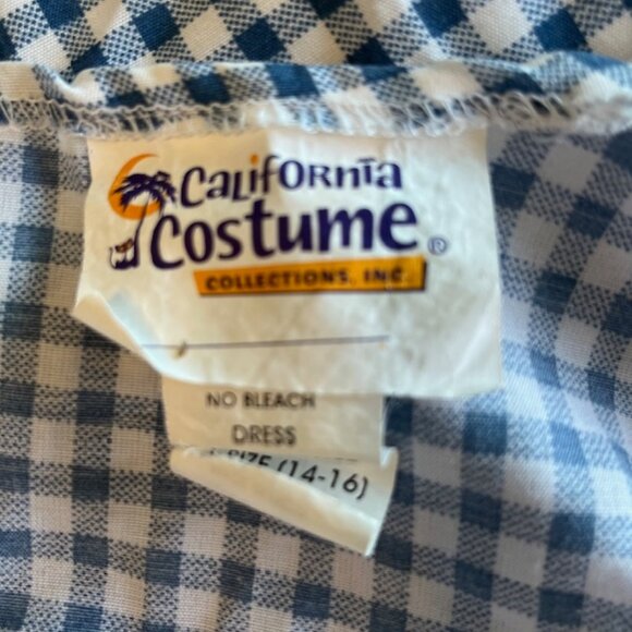 Wizard of Oz ~ Dorothy Halloween Costume ~ Cute - Picture 9 of 9